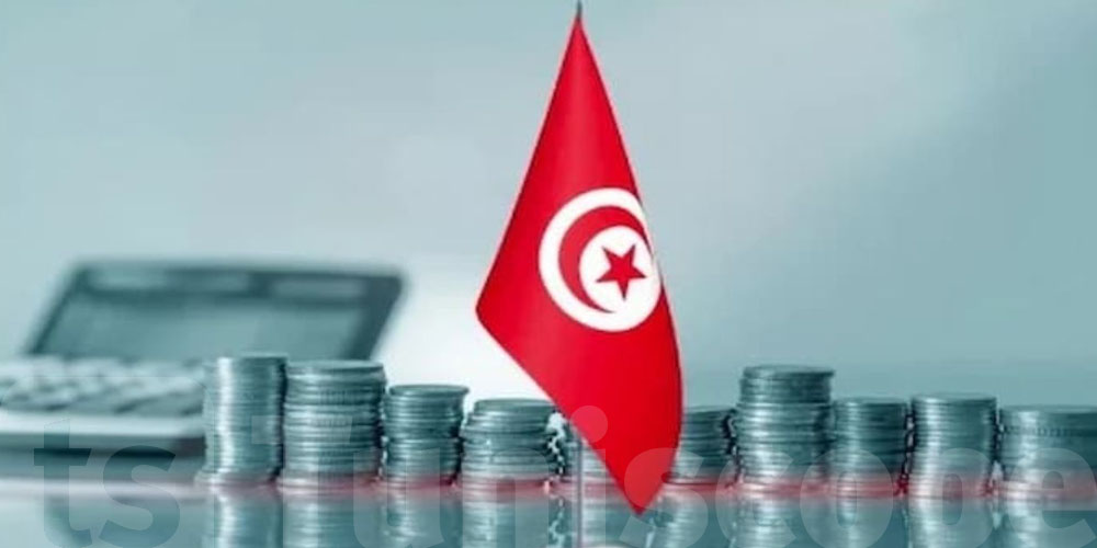 209 مليارات دينار للتمويل الداخلي في تونس.. الدولة ومؤسساتها في صدارة المستفيدين